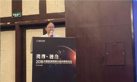 四川省電氣照明學(xué)會(huì)常務(wù)理事長黃云飛女士